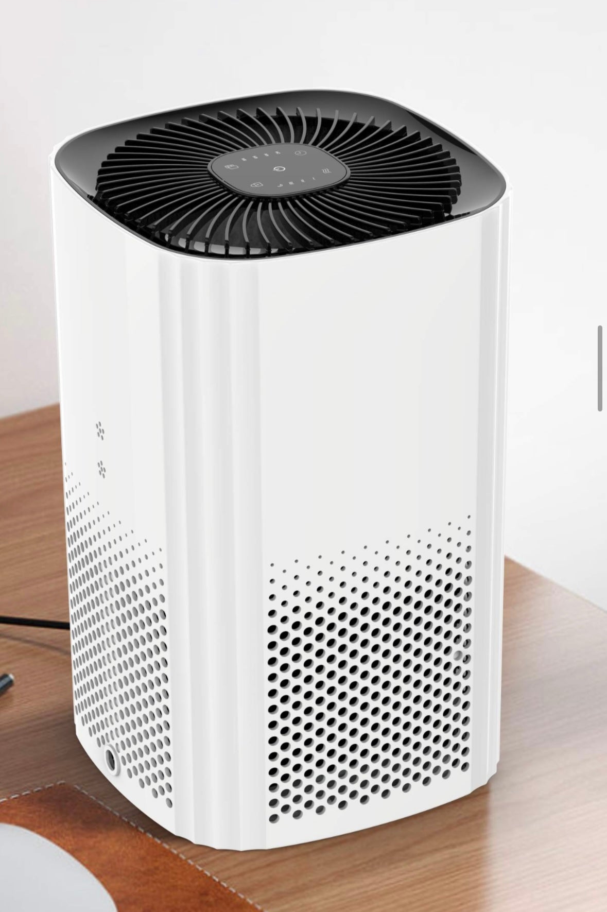 Luftrenser (1-20 kvm)