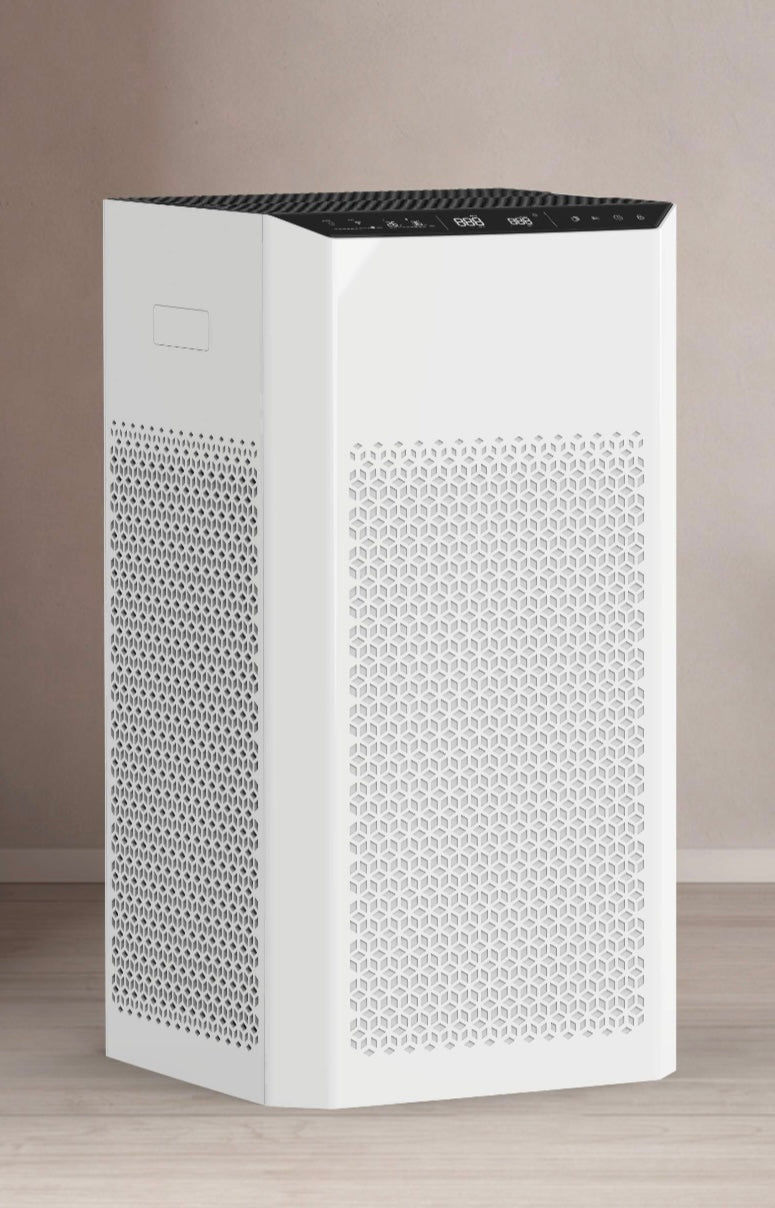 Luftrenser (1-100 kvm)